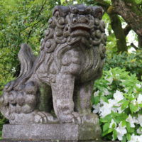 近所の神社の狛犬