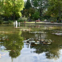 フラリエの池