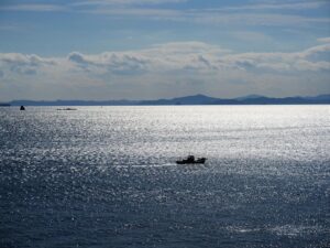 日間賀島から見た海