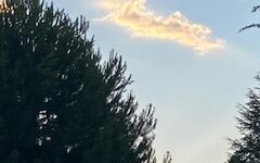 雲の写真２