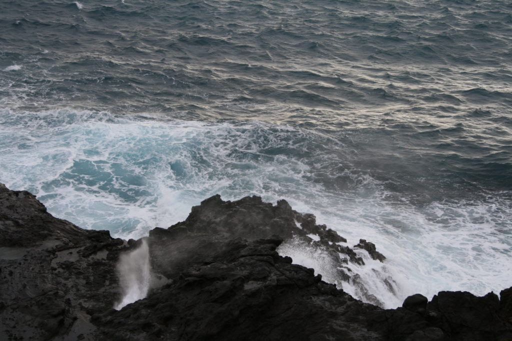 ハワイの海岸の波
