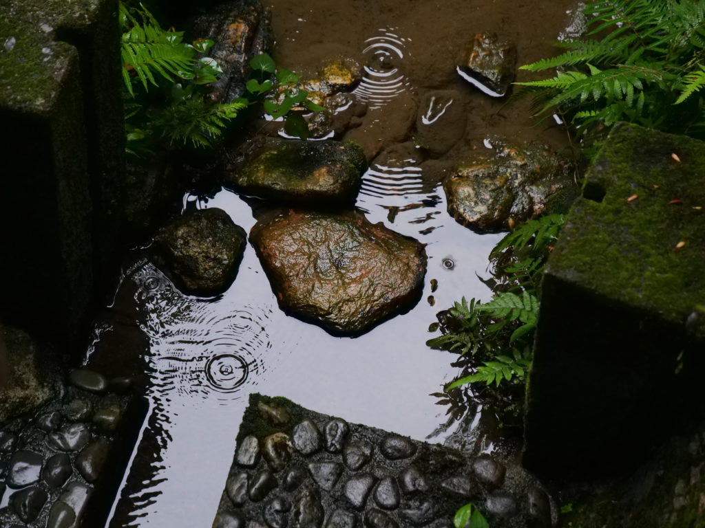 浜名湖の龍潭寺の庭