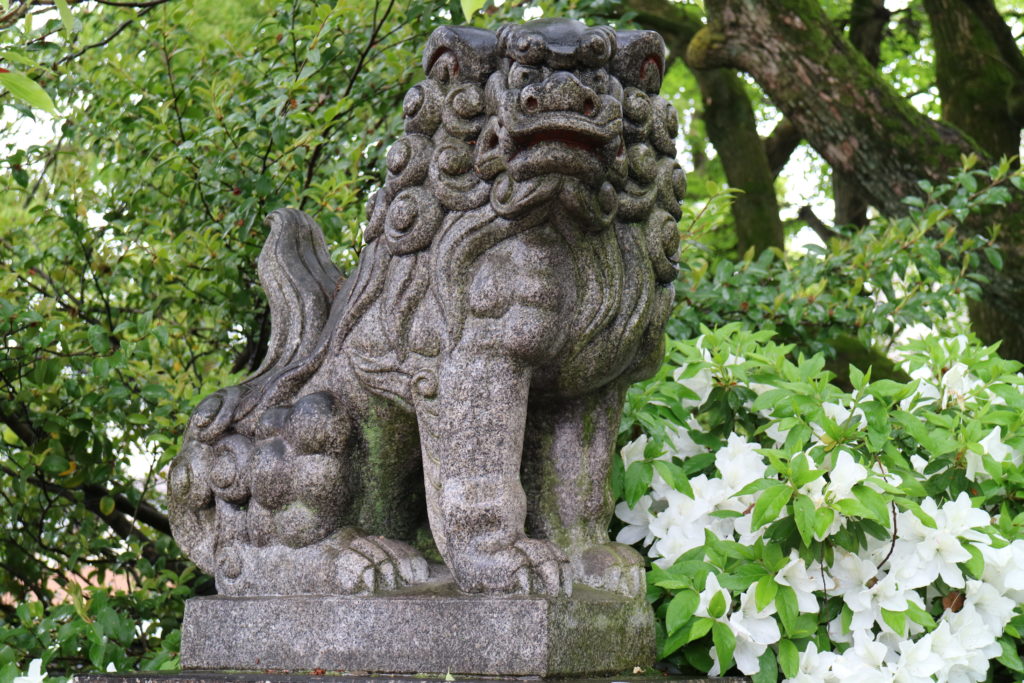 近所の神社の狛犬