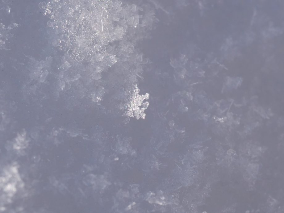 南富良野の雪の結晶